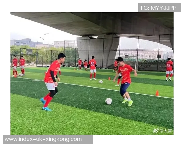 探索足球材料的创新制作工艺与环保应用实践